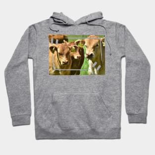 Three Calves Hoodie